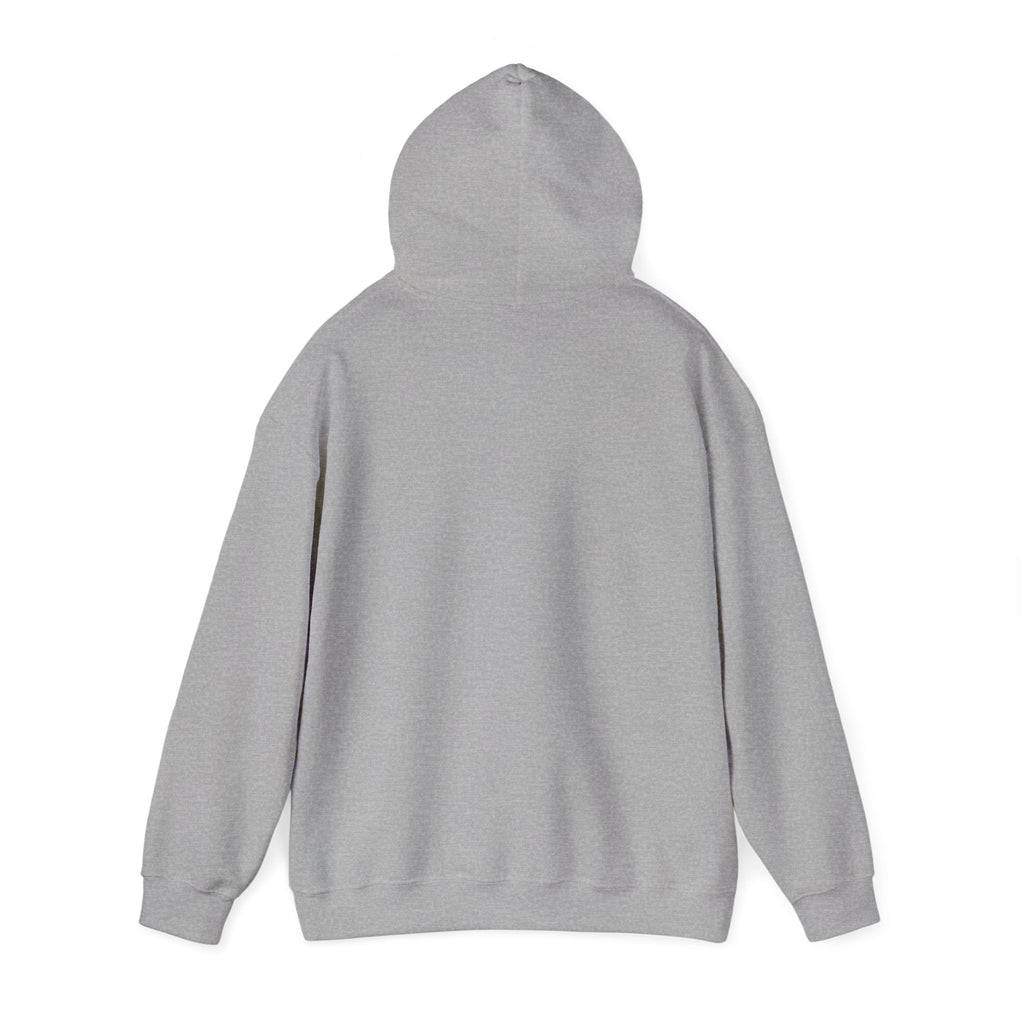 Faith Family Freedom Hoodie | patriotic, faith-based vintage Americana