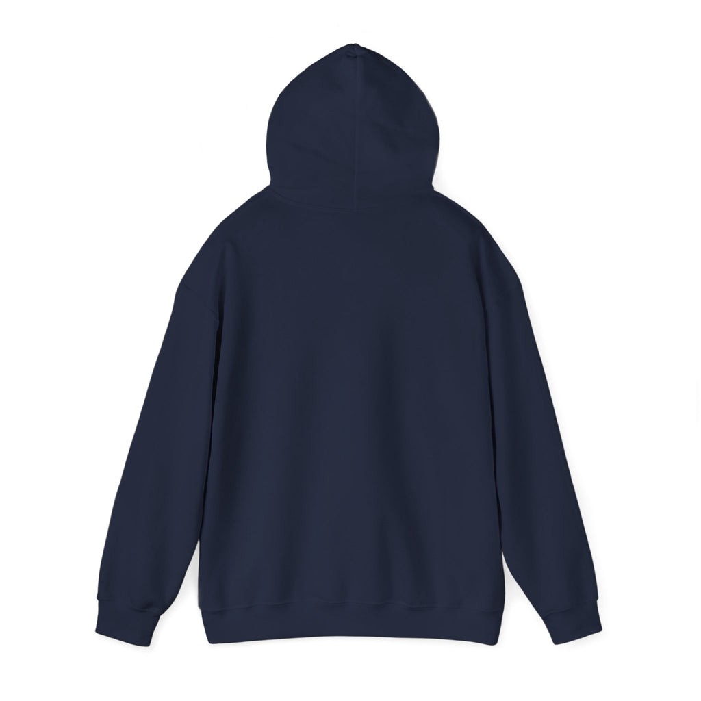 Faith Family Freedom Hoodie | patriotic, faith-based vintage Americana