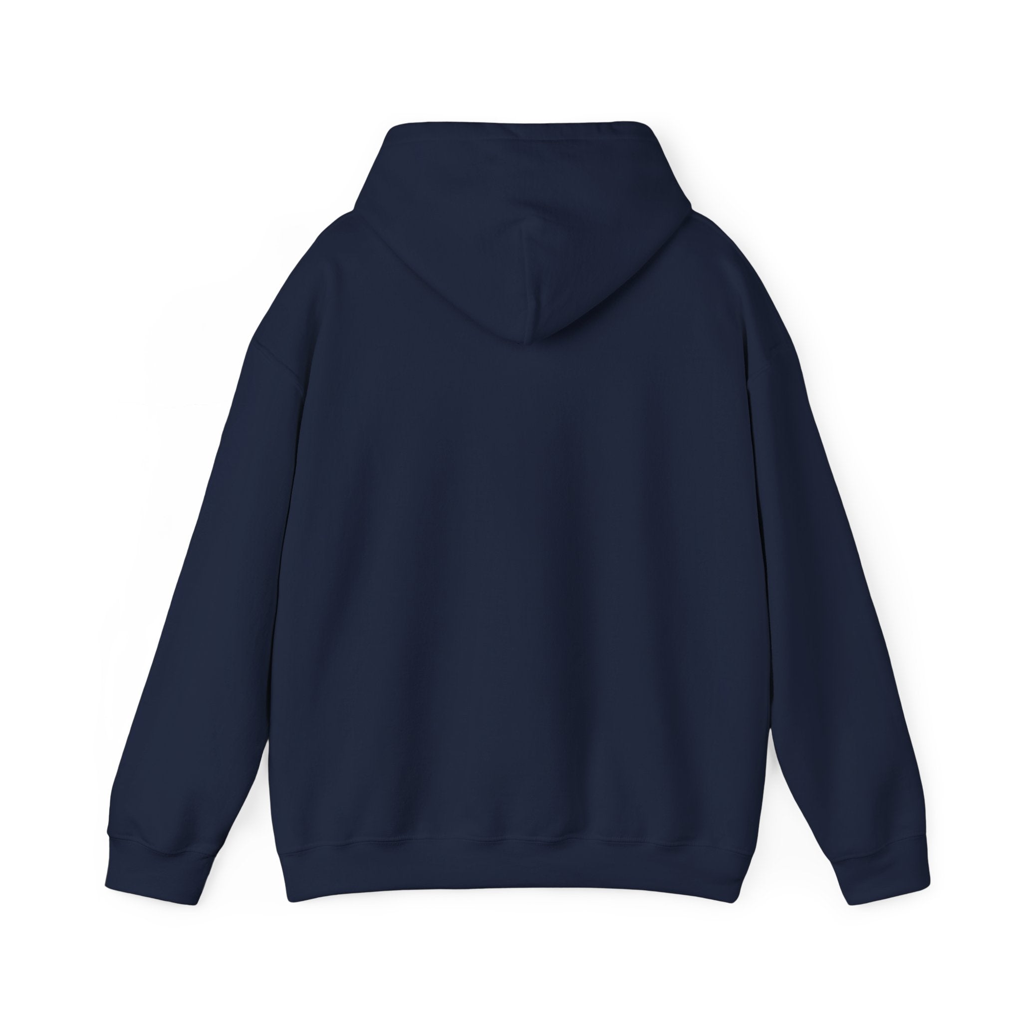 Faith Family Freedom Hoodie | patriotic, faith-based vintage Americana
