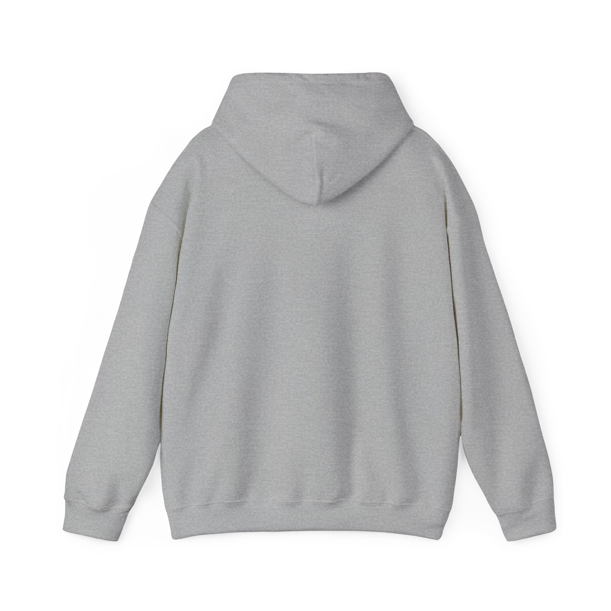 Faith Family Freedom Hoodie | patriotic, faith-based vintage Americana